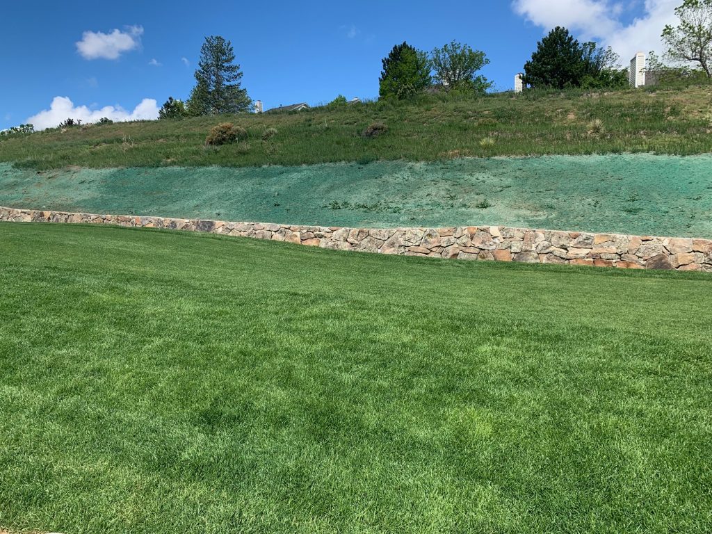 A long retaining wall with the hillside above it with hydroseed for erosion control.