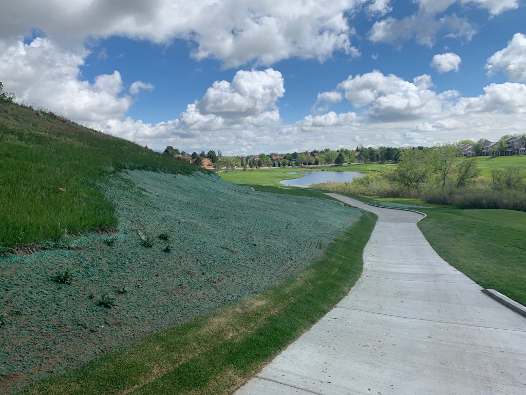A hill next to a sidewalk hydroseed / hydromulch for erosion control.
