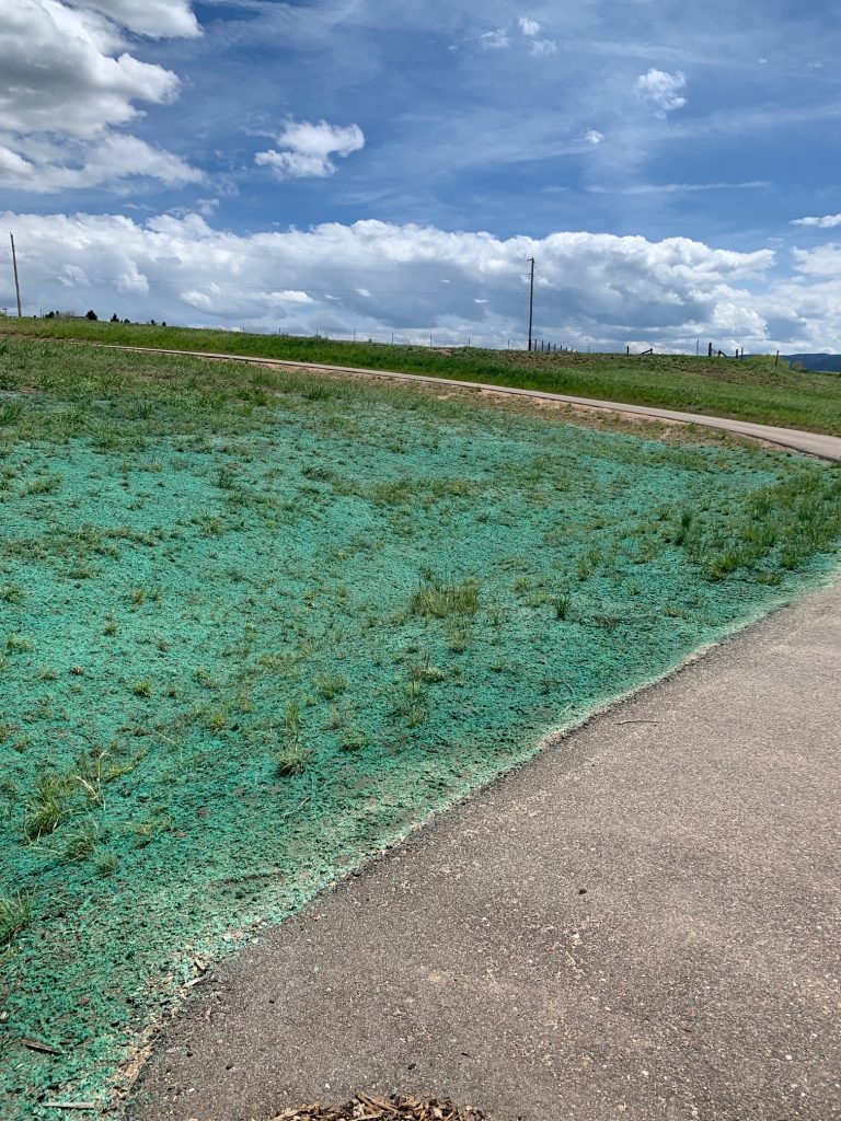 A roadside area getting erosion control with hydroseeding / hydroturfing.