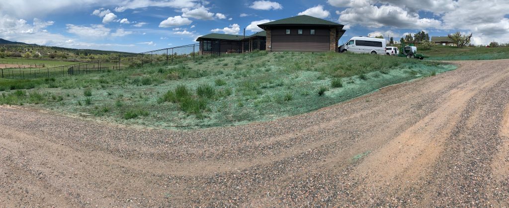 A roadside residential hill with hydroseed for erosion control.