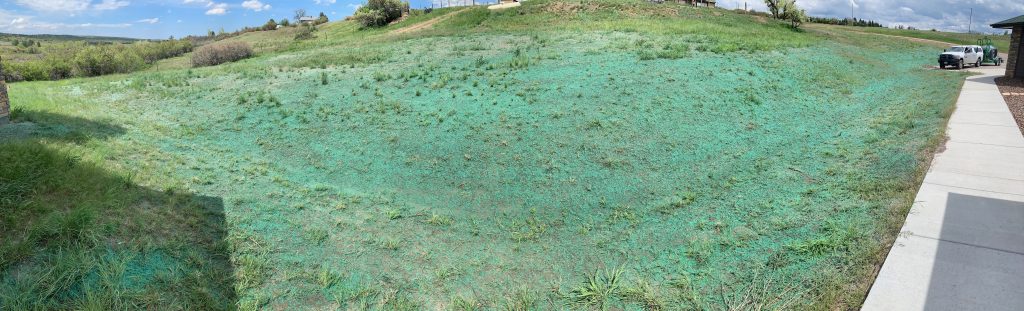 A large piece of land with hydroseeding / hydroturfing for erosion control.