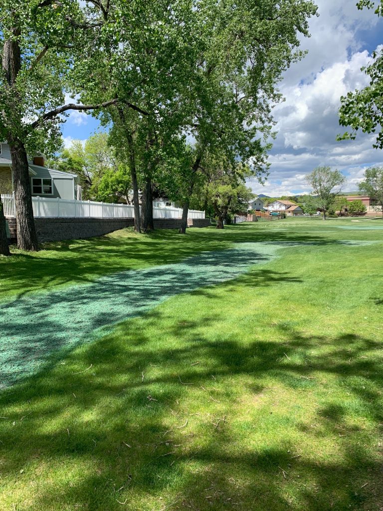 A small strip of area that with recent hydroseeding / hydroturfing to revegetate and match existing grass.