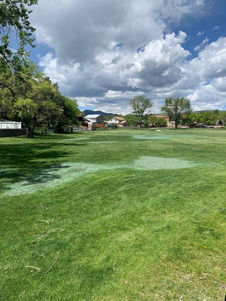 Several small areas of recent hydroseeding / hydroturfing that were made to match existing grass.