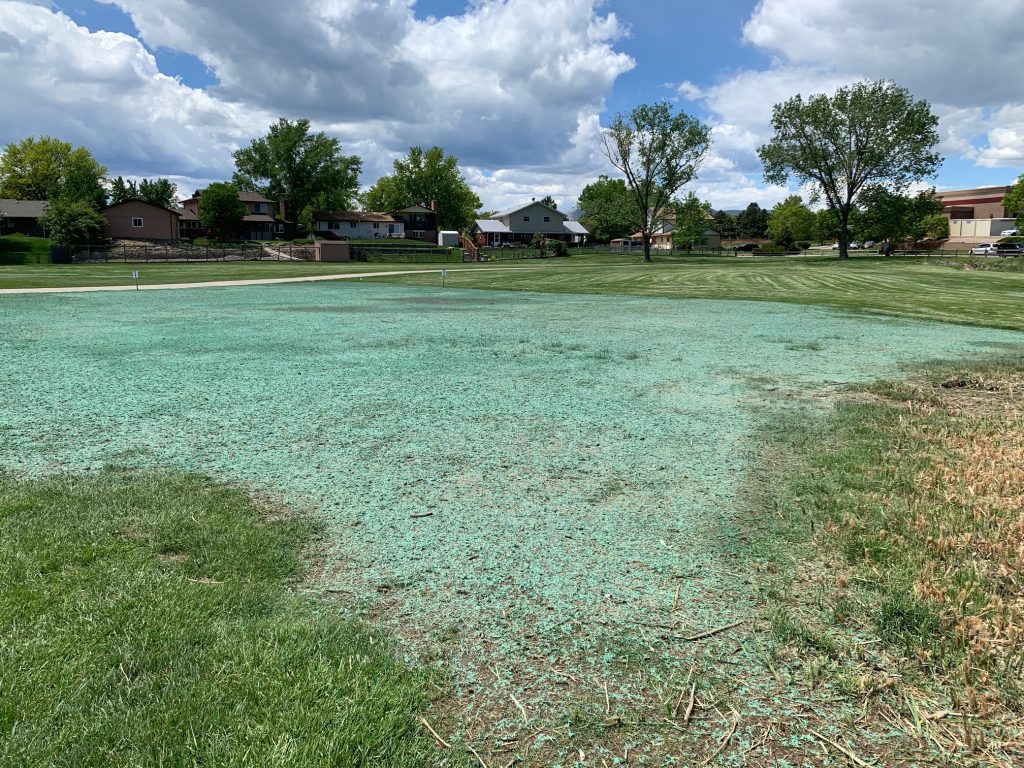 Recent hydroseeding / hydroturfing that was made to match existing grass and revegetate a large area.